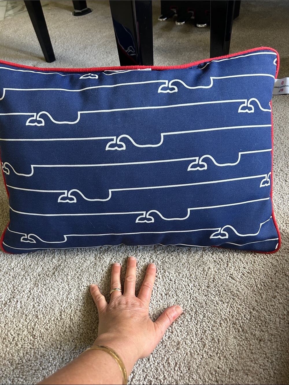 Vineyard Vines Navy Stripe Pillow with Red Piping & Black Cat Pattern Pillow image 2